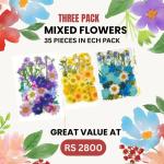 35 pieces dried flowers (Pack of 30)